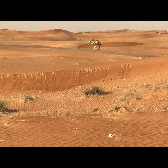 Meet your Posher, Jennifer - Picture 3 of 8